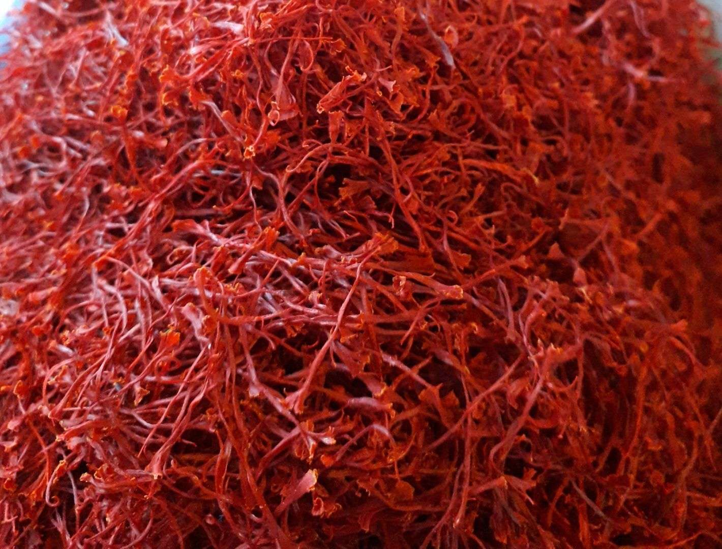 Wynyard Estate Saffron